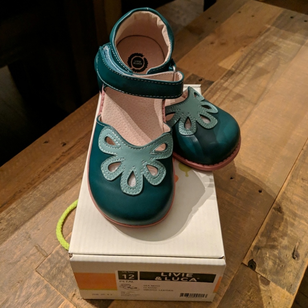 NEW in box Livie and Luca shoes size 12